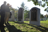 Enlarge photo 206
