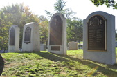 Enlarge photo 209