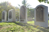 Enlarge photo 211