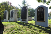 Enlarge photo 214