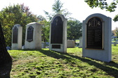 Enlarge photo 215