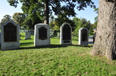 Enlarge photo 218