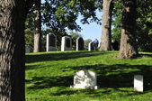 Enlarge photo 219