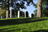 Enlarge photo 220