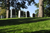 Enlarge photo 221