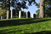 Enlarge photo 222