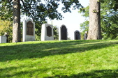 Enlarge photo 223