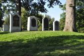 Enlarge photo 224