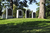 Enlarge photo 225