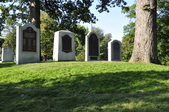Enlarge photo 226