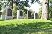 Enlarge photo 227