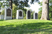 Enlarge photo 228