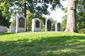 Enlarge photo 229