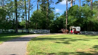 05 16 2020 Mule Train Food Drive