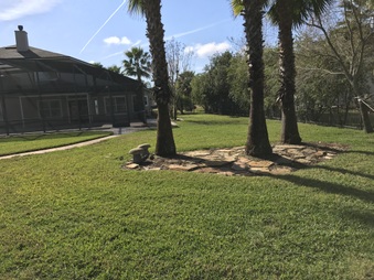 Enlarge photo 29