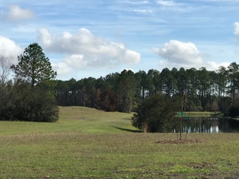 Enlarge photo 106