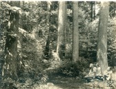 Old Family Photos