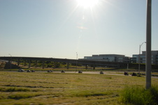 Enlarge photo 249