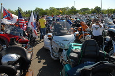 Enlarge photo 276