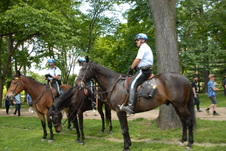 Enlarge photo 340