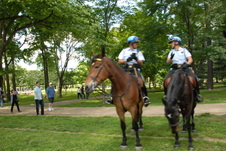 Enlarge photo 341