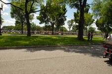 Enlarge photo 342