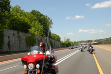 Enlarge photo 75