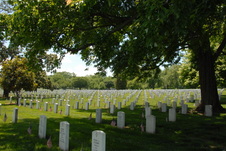 Enlarge photo 85