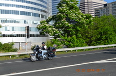 Enlarge photo 20