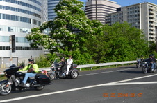 Enlarge photo 21
