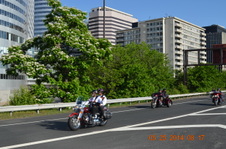 Enlarge photo 23