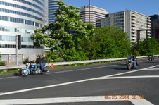 Enlarge photo 47