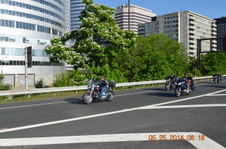 Enlarge photo 48
