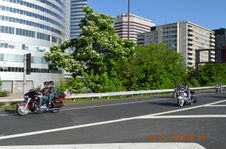 Enlarge photo 52