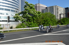 Enlarge photo 54