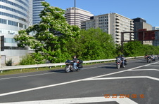 Enlarge photo 58