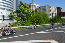Enlarge photo 62