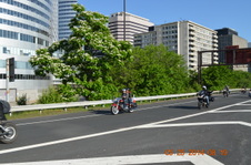 Enlarge photo 63