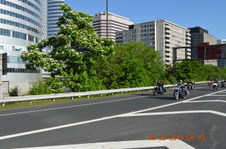 Enlarge photo 65