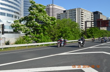 Enlarge photo 66