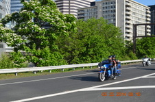 Enlarge photo 70