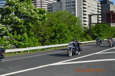 Enlarge photo 71