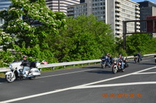 Enlarge photo 72