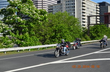 Enlarge photo 74