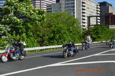 Enlarge photo 75