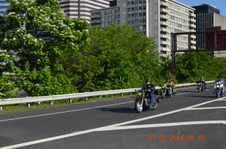 Enlarge photo 76