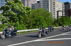 Enlarge photo 78