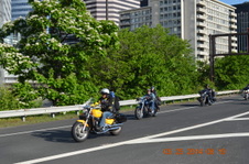 Enlarge photo 81