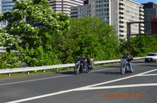 Enlarge photo 82