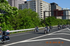 Enlarge photo 95